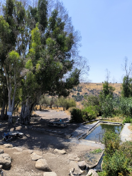 קובץ:2025-06-26T12 03 48.020238714718.jpg