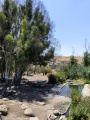 תמונה ממוזערת לגרסה מתאריך 16:07, 26 ביוני 2025