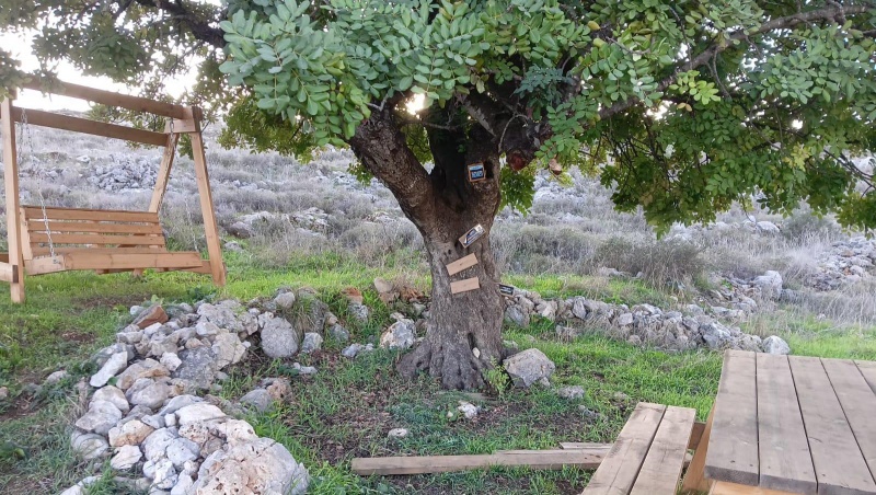 קובץ:2025-06-26T16 26 56.246899347672.jpg