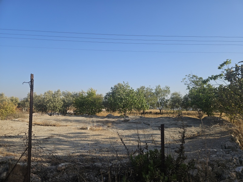 קובץ:2025-06-26T18 22 01.479308101492.jpg