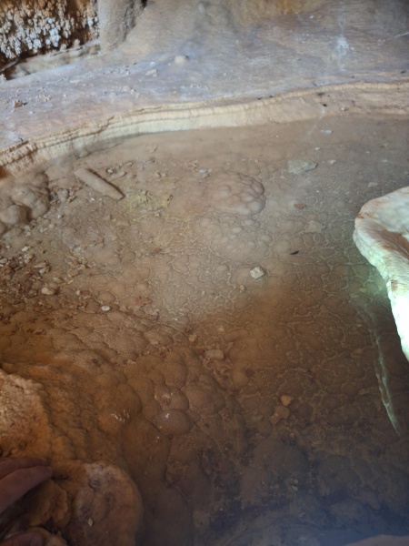קובץ:2025-06-27T12 46 21.544493372417.jpg