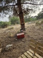 תמונה ממוזערת לגרסה מתאריך 15:59, 27 ביוני 2025