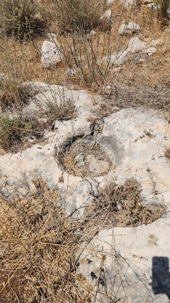 קובץ:2025-06-29T11 10 35.407860603039.jpg