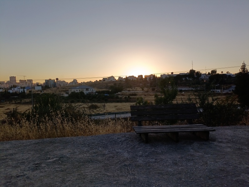 קובץ:2025-06-29T19 39 46.17645484043.jpg