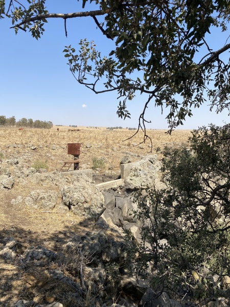 קובץ:2025-06-30T15 12 31.320673166108.jpg