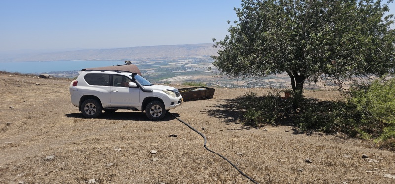 קובץ:2025-07-01T11 25 15.368309446353.jpg