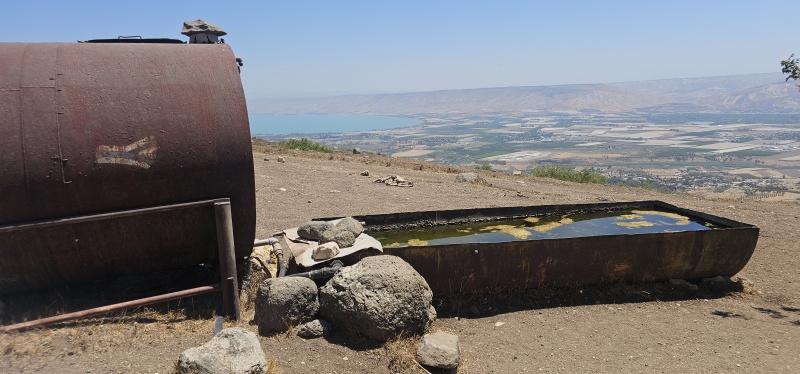 קובץ:2025-07-01T11 26 15.716282579095.jpg