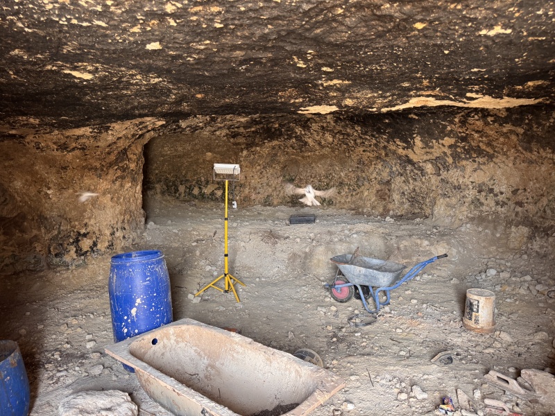 קובץ:2025-07-01T12 07 59.735064365546.jpg