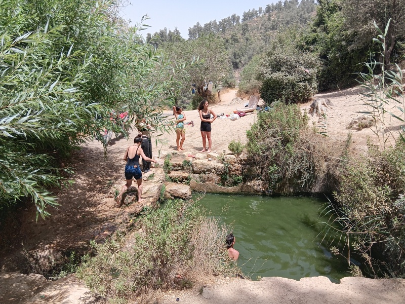 קובץ:2025-07-01T13 59 26.826607379825.jpg