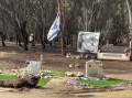תמונה ממוזערת לגרסה מתאריך 11:45, 1 ביולי 2025
