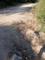 תמונה ממוזערת לגרסה מתאריך 07:09, 2 ביולי 2025