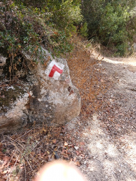 קובץ:2025-07-03T11 20 54.979357716955.jpg