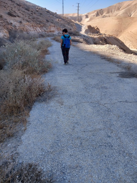 קובץ:2025-07-04T07 42 52.357573309159.jpg
