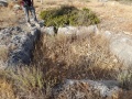 תמונה ממוזערת לגרסה מתאריך 04:31, 4 ביולי 2025