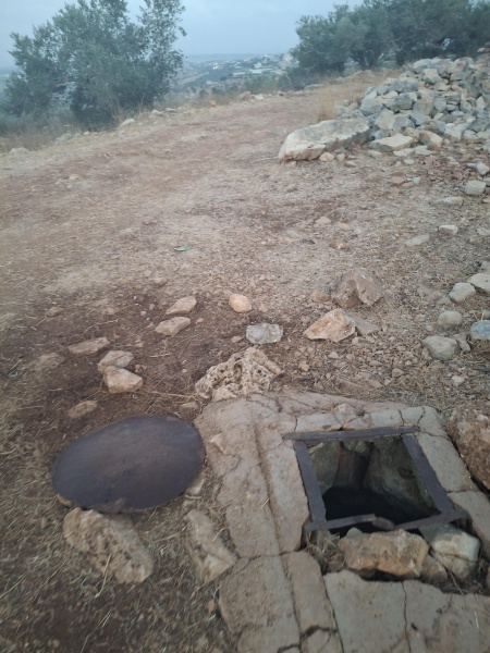 קובץ:2025-07-04T12 03 40.30759989040.jpg