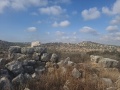 תמונה ממוזערת לגרסה מתאריך 08:42, 4 ביולי 2025