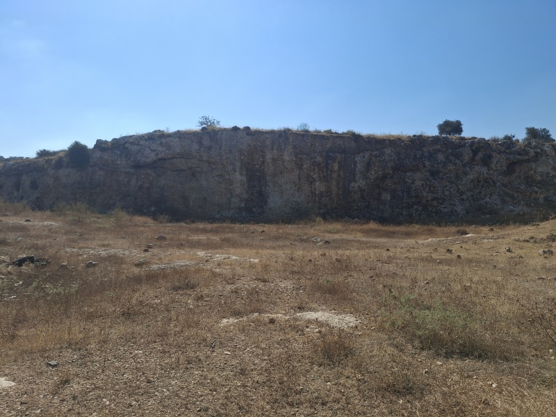 קובץ:2025-07-04T12 08 51.575245140924.jpg