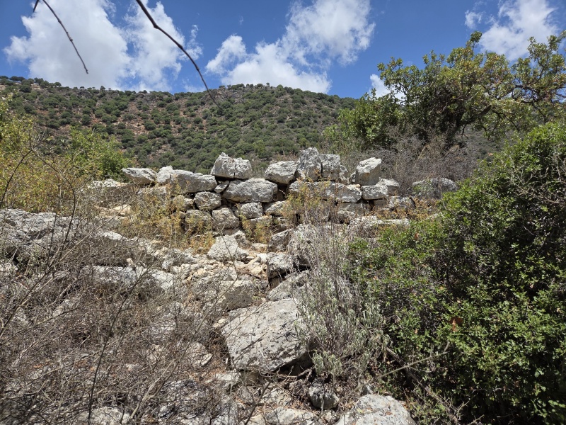 קובץ:2025-07-04T12 42 02.770950476257.jpg