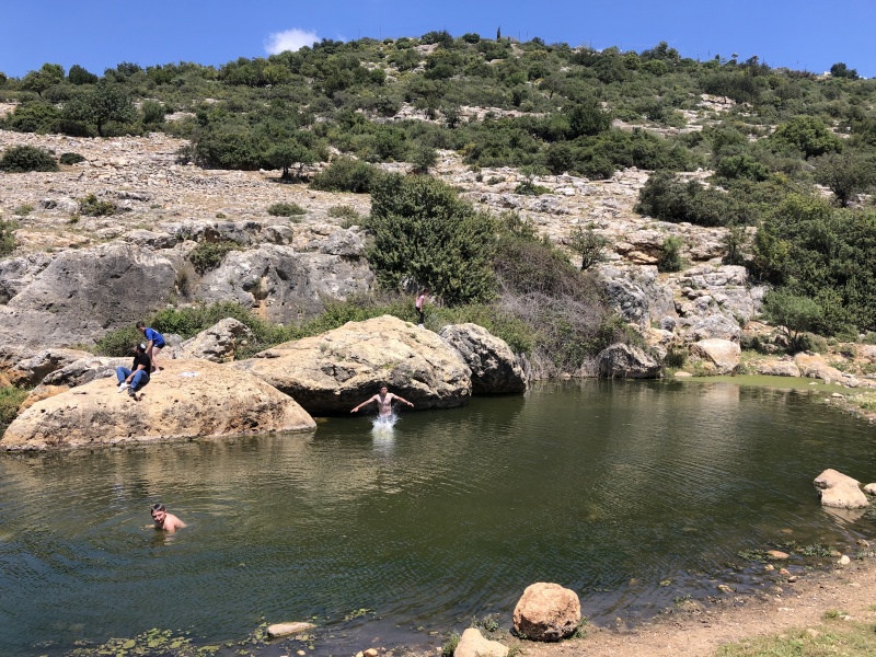 קובץ:2025-07-04T18 14 54.985449230707.jpg