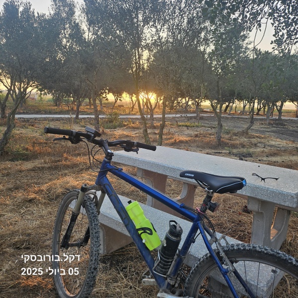 קובץ:2025-07-05T06 06 48.867224199051.jpg