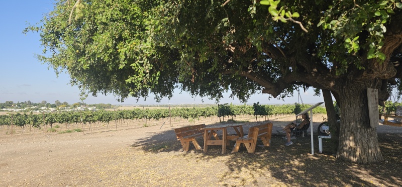 קובץ:2025-07-05T08 09 45.438479275328.jpg