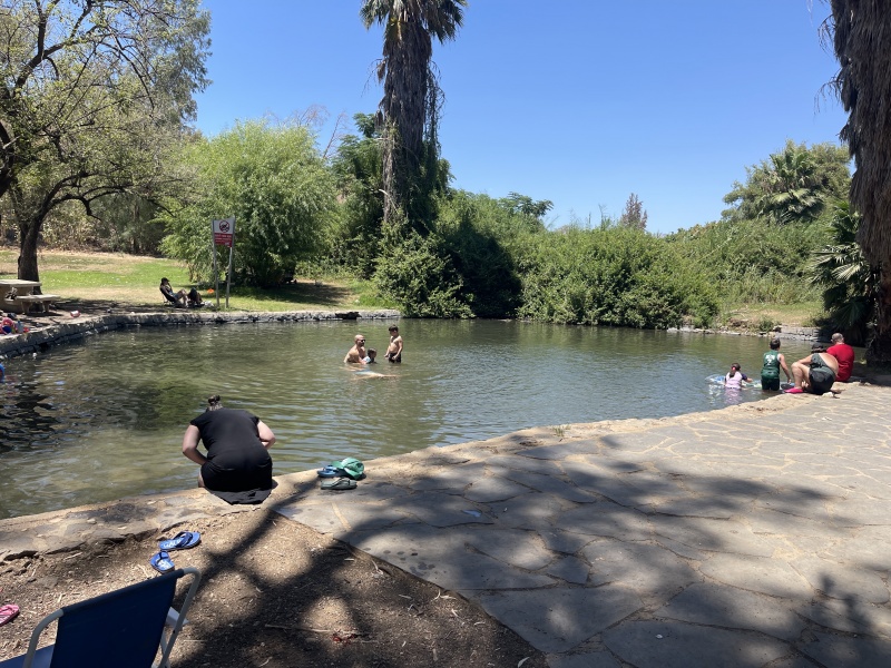 קובץ:2025-07-05T13 30 55.712940633717.jpg