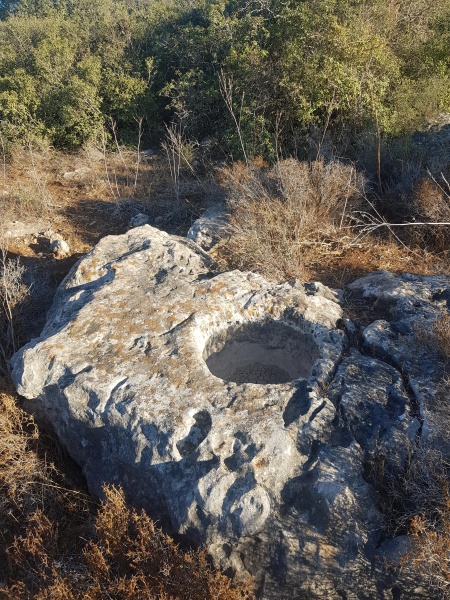 קובץ:2025-07-05T18 27 31.067462460714.jpg