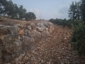 תמונה ממוזערת לגרסה מתאריך 18:54, 5 ביולי 2025