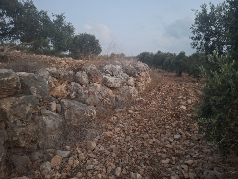 קובץ:2025-07-05T22 18 52.289499675717.jpg