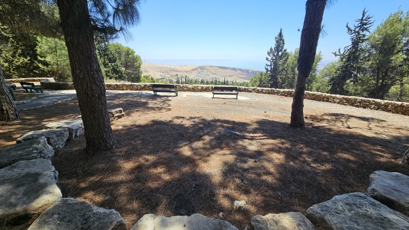 קובץ:2025-07-07T12 41 12.109730849859.jpg