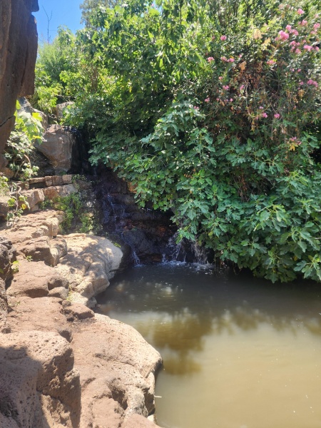 קובץ:2025-07-07T13 00 01.258196814376.jpg