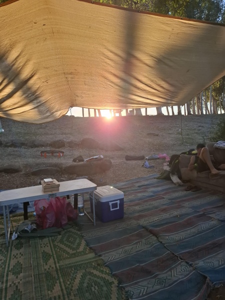 קובץ:2025-07-07T21 21 47.374503290802.jpg