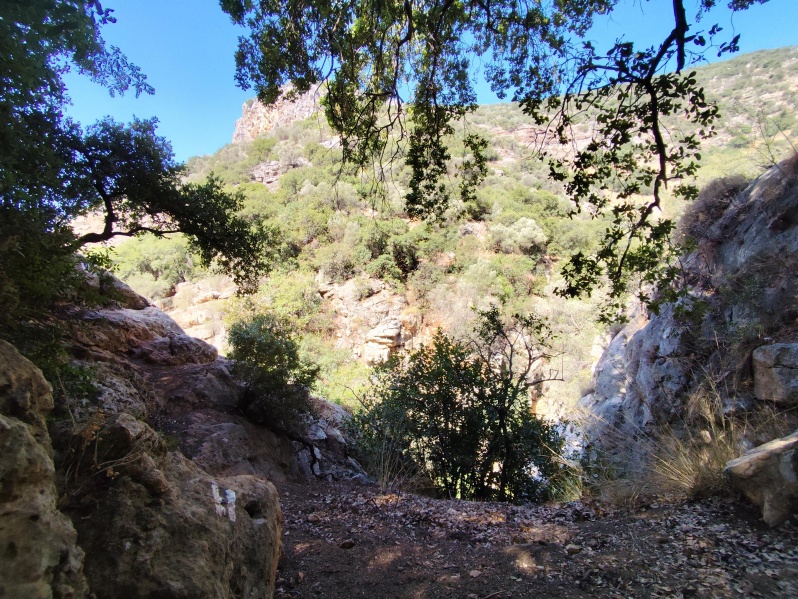 קובץ:2025-07-08T09 45 11.247548326757.jpg