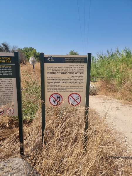 קובץ:2025-07-08T10 12 35.401571247938.jpg