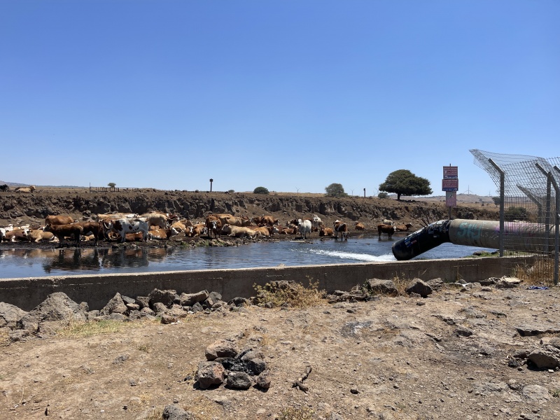 קובץ:2025-07-08T11 25 50.332986915873.jpg