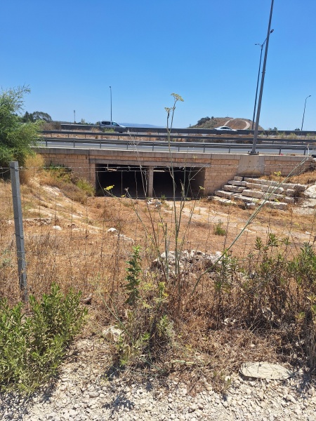 קובץ:2025-07-08T11 55 37.652372921485.jpg