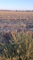תמונה ממוזערת לגרסה מתאריך 16:10, 8 ביולי 2025