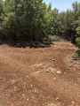 תמונה ממוזערת לגרסה מתאריך 10:45, 9 ביולי 2025