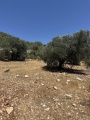 תמונה ממוזערת לגרסה מתאריך 06:58, 14 ביולי 2025
