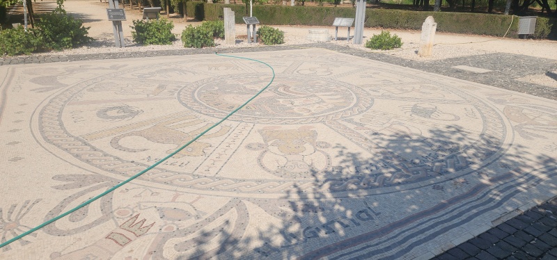 קובץ:2025-07-10T09 31 16.210552966984.jpg