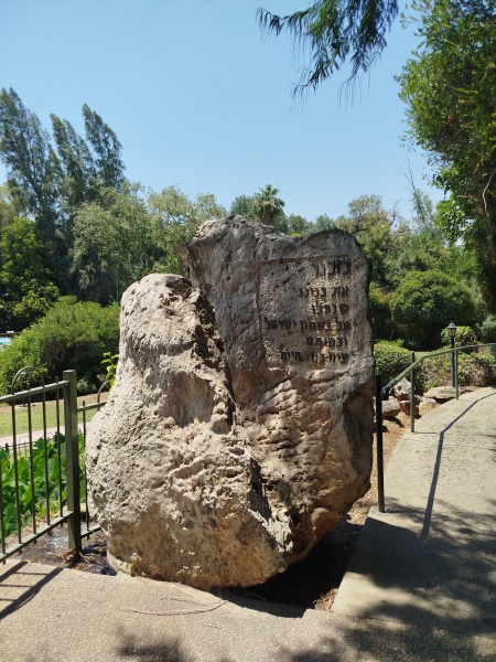 קובץ:2025-07-10T13 29 16.409388937363.jpg