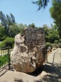 תמונה ממוזערת לגרסה מתאריך 10:05, 10 ביולי 2025