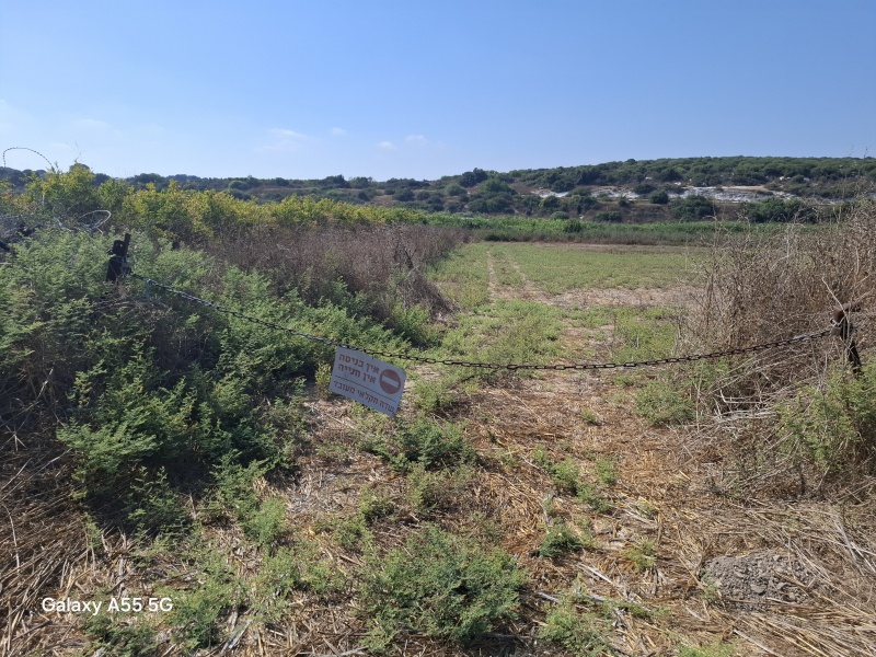 קובץ:2025-07-10T16 10 33.37737312350.jpg