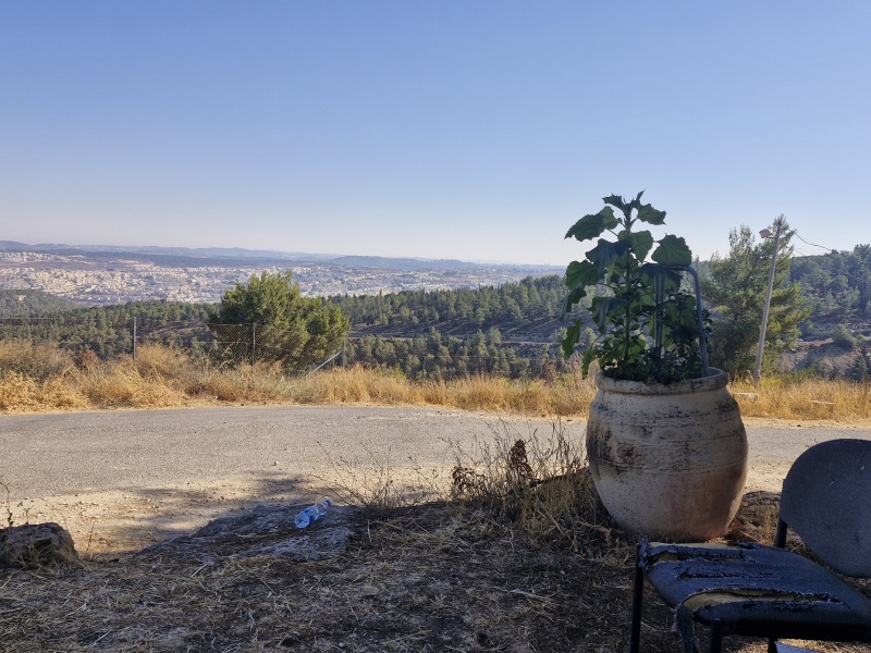 קובץ:2025-07-11T08 42 21.033015344529.jpg