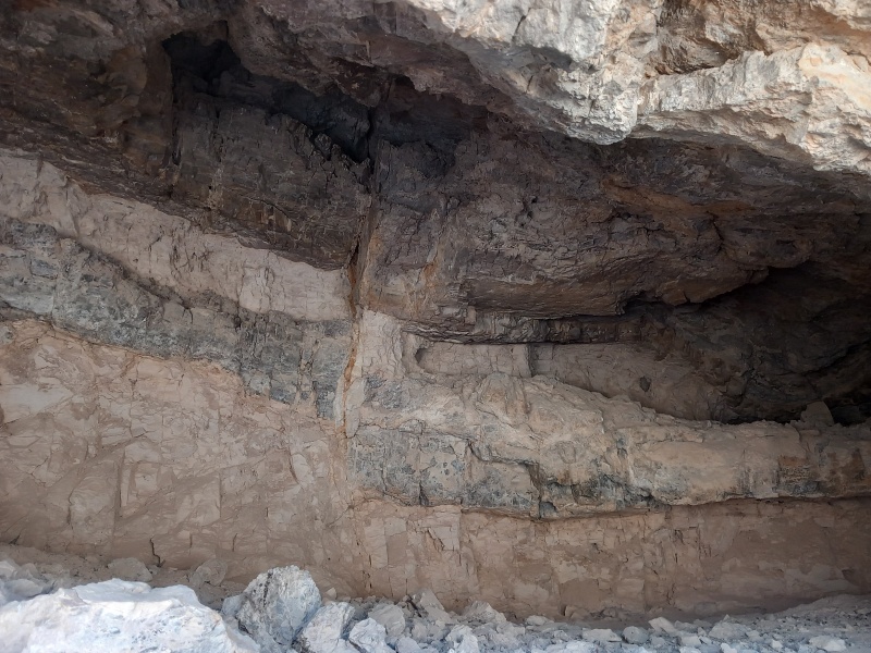 קובץ:2025-07-11T10 44 18.590691663352.jpg