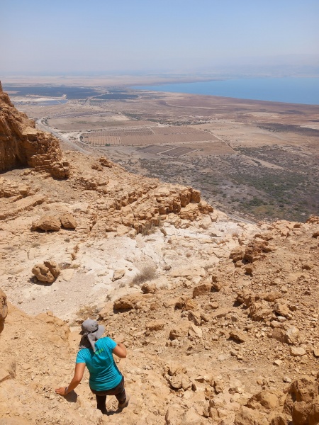 קובץ:2025-07-11T11 22 18.661670426912.jpg