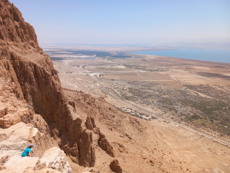 קובץ:2025-07-11T11 24 51.587424622829.jpg