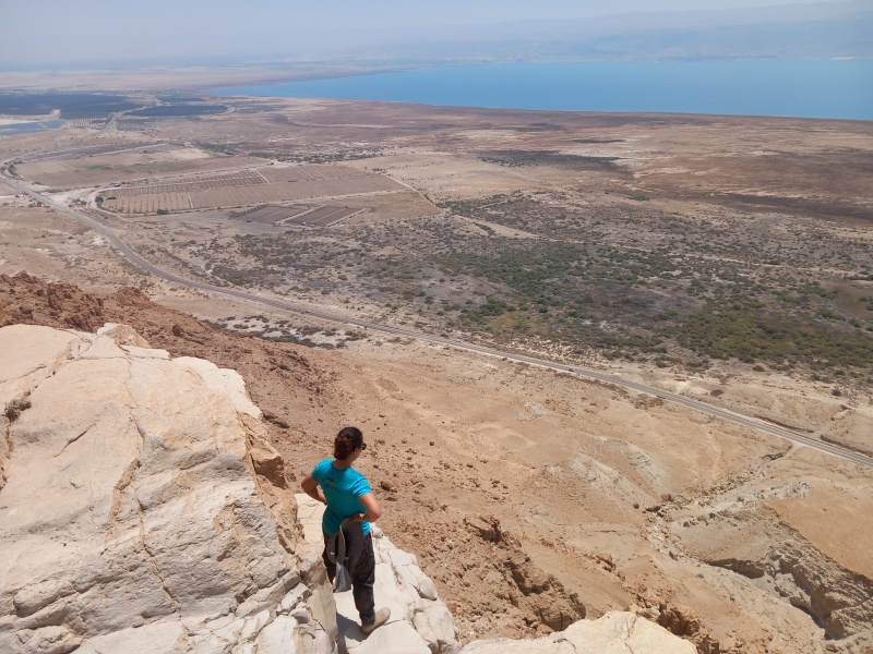 קובץ:2025-07-11T11 26 31.502163669014.jpg