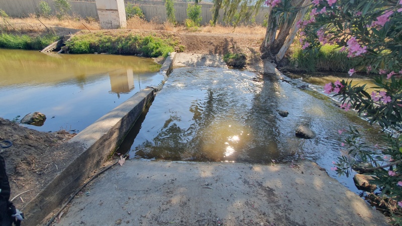 קובץ:2025-07-11T16 40 24.0335038358.jpg