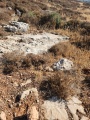 תמונה ממוזערת לגרסה מתאריך 13:54, 11 ביולי 2025